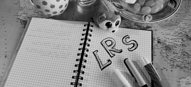 Notizbuch mit den Buchstaben "LRS", auf dem Stifte und ein Kleiner Stoffhund liegen. Darüber stehen Kaffee, Wasser und ein Teller mit Obst.